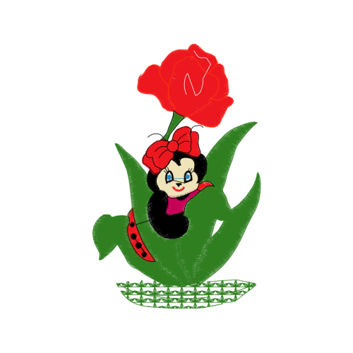 Garden Roses Flowers Garden Roses Flowers