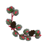 Garden Roses Flowers Garden Roses Flowers