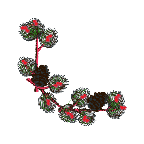 Garden Roses Flowers Garden Roses Flowers