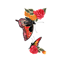 Garden Roses Flowers Garden Roses Flowers