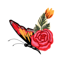 Garden Roses Flowers Garden Roses Flowers