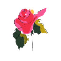 Garden Roses Flowers Garden Roses Flowers