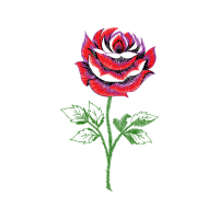 Garden Roses Flowers Garden Roses Flowers