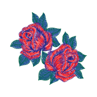 Garden Roses Flowers Garden Roses Flowers