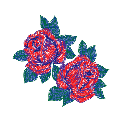 Garden Roses Flowers Garden Roses Flowers