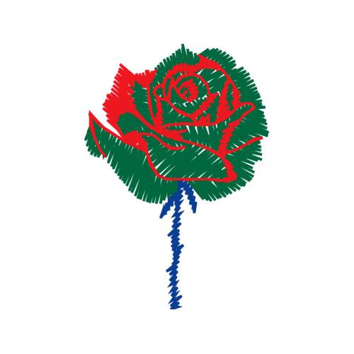 Garden Roses Flowers Garden Roses Flowers