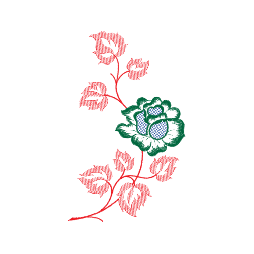 Garden Roses Flowers Garden Roses Flowers