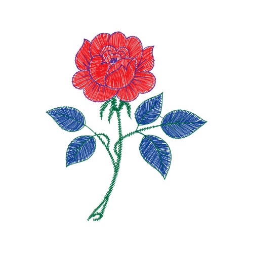 Garden Roses Flowers Garden Roses Flowers