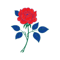 Garden Roses Flowers Garden Roses Flowers