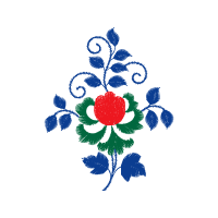 Garden Roses Flowers Garden Roses Flowers