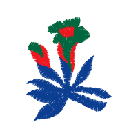 Garden Roses Flowers Garden Roses Flowers