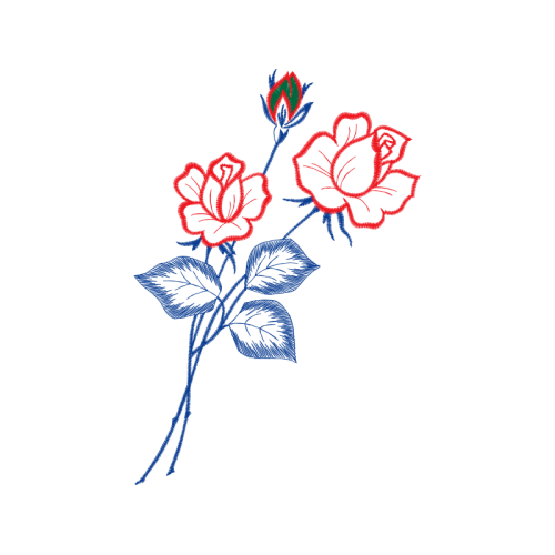 Garden Roses Flowers Garden Roses Flowers