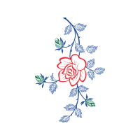 Garden Roses Flowers