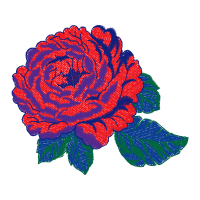 Garden Roses Flowers