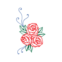 Garden Roses Flowers