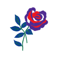 Garden Roses Flowers