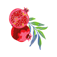 Garden Roses Flowers Garden Roses Flowers