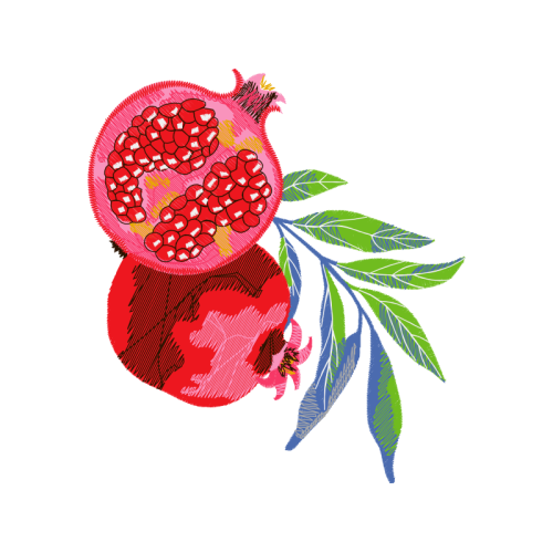 Garden Roses Flowers Garden Roses Flowers