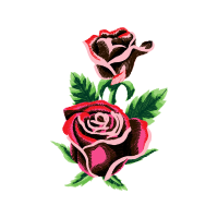 Garden Roses Flowers Garden Roses Flowers