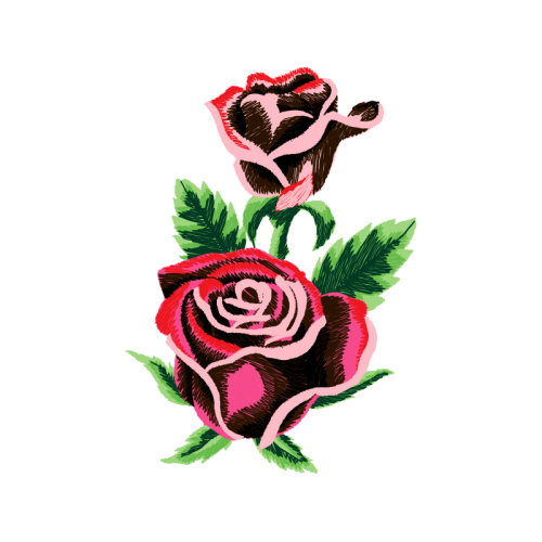 Garden Roses Flowers Garden Roses Flowers