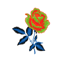 Garden Roses Flowers