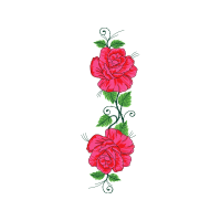 Garden Roses Flowers Garden Roses Flowers