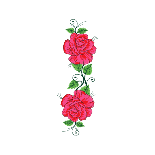 Garden Roses Flowers Garden Roses Flowers