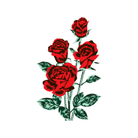 Garden Roses Flowers Garden Roses Flowers