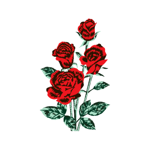 Garden Roses Flowers Garden Roses Flowers