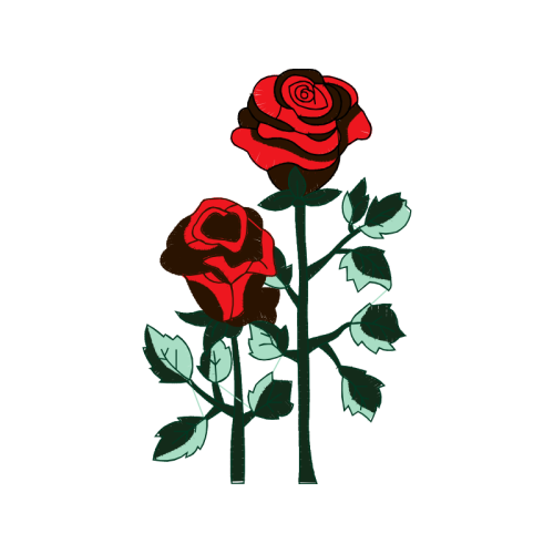 Garden Roses Flowers Garden Roses Flowers