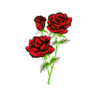 Garden Roses Flowers Garden Roses Flowers