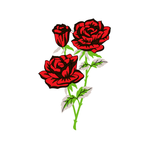 Garden Roses Flowers Garden Roses Flowers