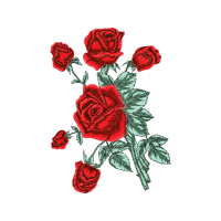 Garden Roses Flowers Garden Roses Flowers