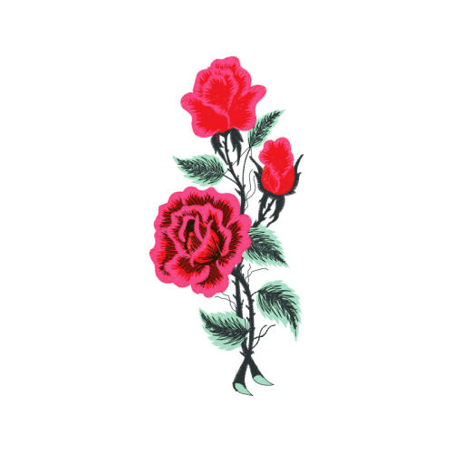 Garden Roses Flowers Garden Roses Flowers