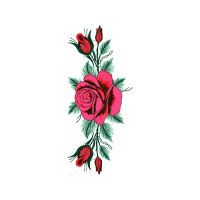 Garden Roses Flowers Garden Roses Flowers