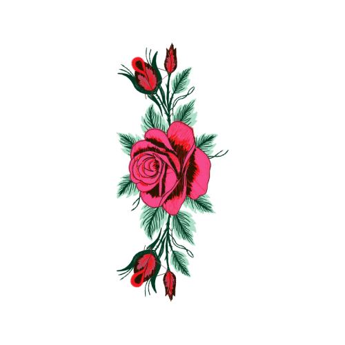 Garden Roses Flowers Garden Roses Flowers