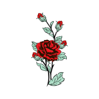 Garden Roses Flowers Garden Roses Flowers