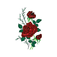 Garden Roses Flowers Garden Roses Flowers