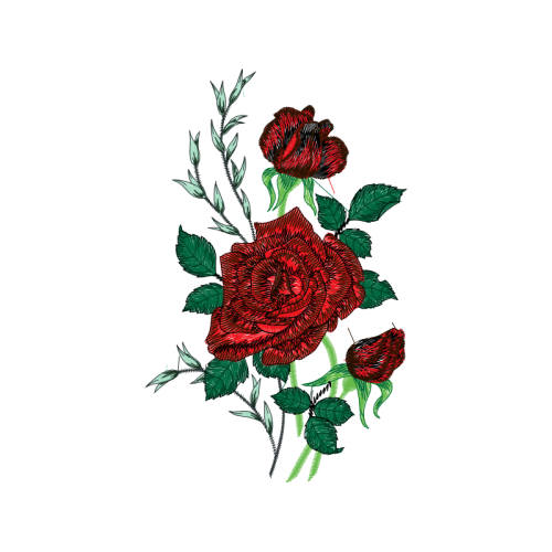 Garden Roses Flowers Garden Roses Flowers