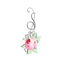 Garden Roses Flowers Garden Roses Flowers