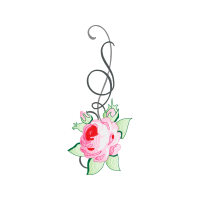 Garden Roses Flowers Garden Roses Flowers