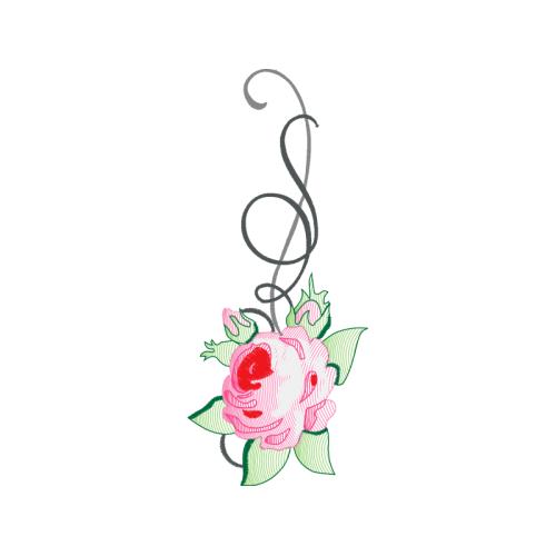 Garden Roses Flowers Garden Roses Flowers