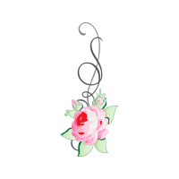 Garden Roses Flowers Garden Roses Flowers