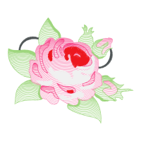 Garden Roses Flowers Garden Roses Flowers