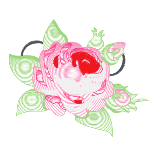 Garden Roses Flowers Garden Roses Flowers