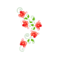 Garden Roses Flowers