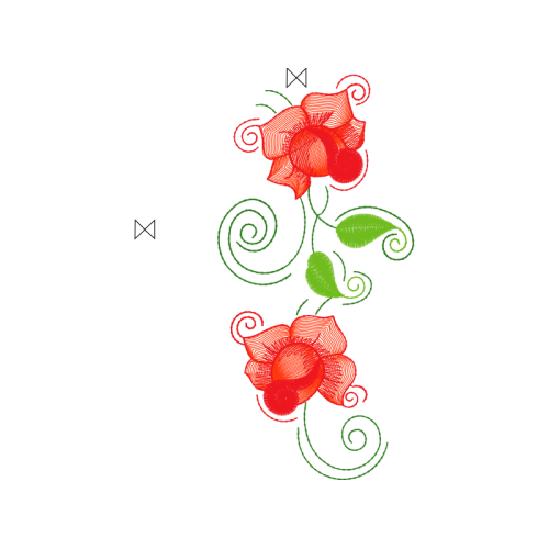 Garden Roses Flowers Garden Roses Flowers