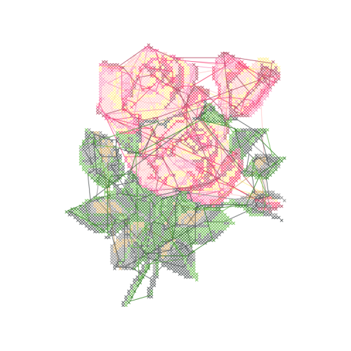 Garden Roses Flowers Garden Roses Flowers