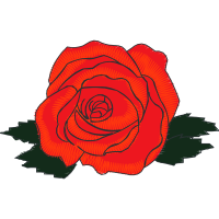 Garden Roses Flowers