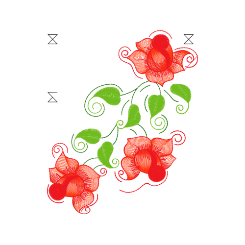 Garden Roses Flowers Garden Roses Flowers